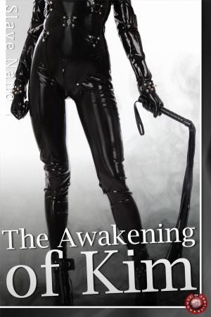 Book cover of The Awakening of Kim