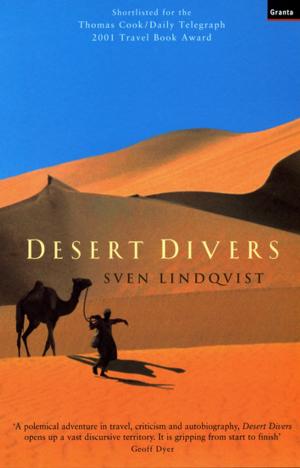 Cover of the book Desert Divers by Simon Gray