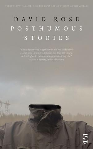 Cover of the book Posthumous Stories by Guy Ware