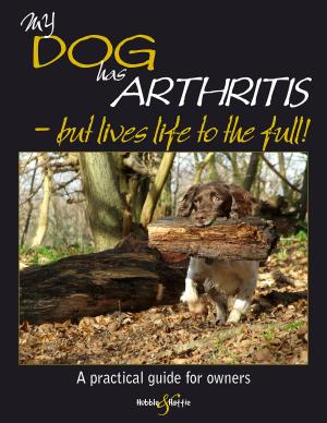 Cover of the book My dog has arthritis by Andrea & David Sparrow