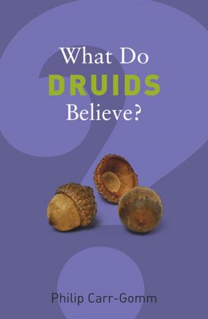 Book cover of What Do Druids Believe?