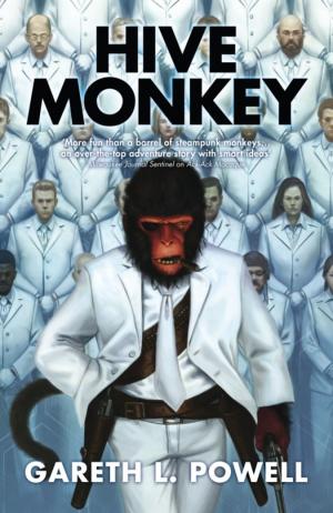 Cover of the book Hive Monkey by Stephen Blackmoore