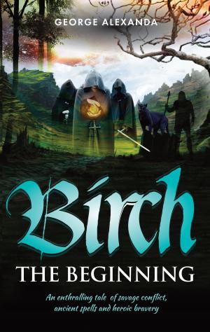 Book cover of Birch The Beginning