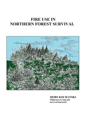 Cover of the book Fire Use in Northern Forest Survival by Mors Kochanski