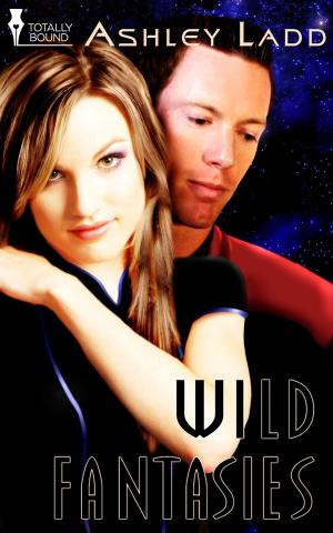Cover of the book Wild Fantasies by Crissy Smith