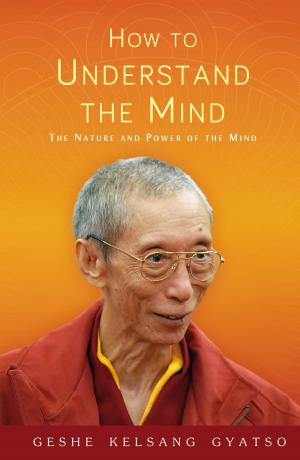 Book cover of How to Understand the Mind