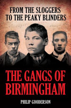 Cover of the book The Gangs of Birmingham by Brian McDonald