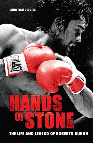 Cover of the book Hands of Stone by Larry Simmons Jr.