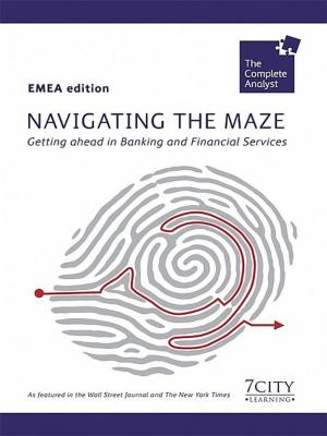 Cover of the book Navigating the Maze by Mateja Klaric