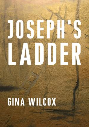 Cover of the book Joseph's Ladder by Gina Gardiner