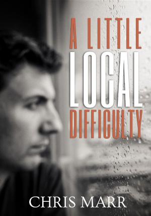 Cover of the book A Little Local Difficulty by Miriam Nesset