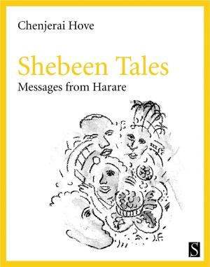 Book cover of Shebeen Tales
