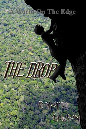 Book cover of The Drop: Kroth 2
