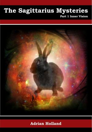 Cover of The Sagittarius Mysteries - Part 1