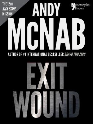 Cover of Exit Wound (Nick Stone Book 12): Andy McNab's best-selling series of Nick Stone thrillers - now available in the US, with bonus material