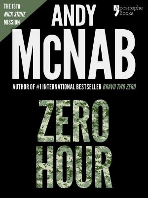 Cover of Zero Hour (Nick Stone Book 13): Andy McNab's best-selling series of Nick Stone thrillers - now available in the US, with bonus material