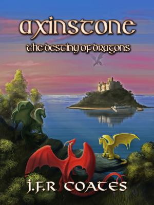 Book cover of Axinstone