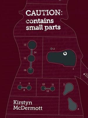 Cover of the book Caution: Contains Small Parts by Rivqa Rafael, Tansy Rayner Roberts