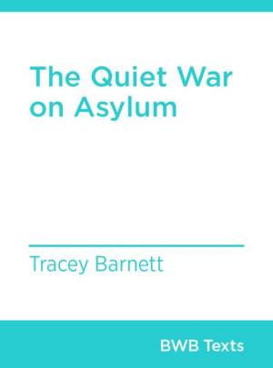 Cover of the book The Quiet War on Asylum by Kirsty Gunn