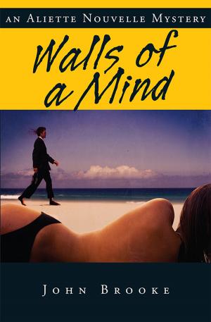 Cover of the book Walls of a Mind by Alison Preston