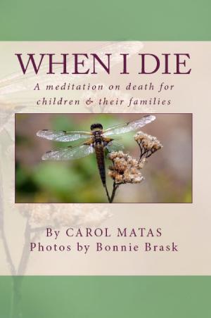 Cover of the book When I Die: A Meditation on Death for Children & Their Families by Charlotte Cameron