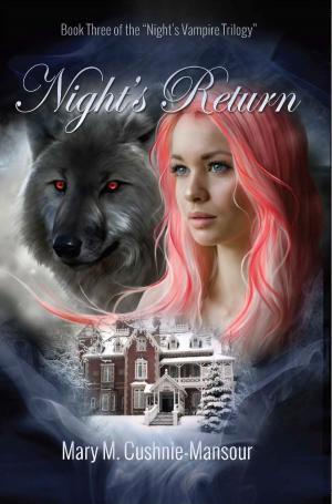 Cover of the book Night's Return by Vivi Anna