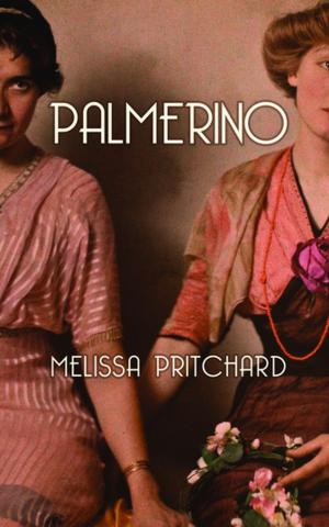 Cover of the book Palmerino by Eduardo Halfon