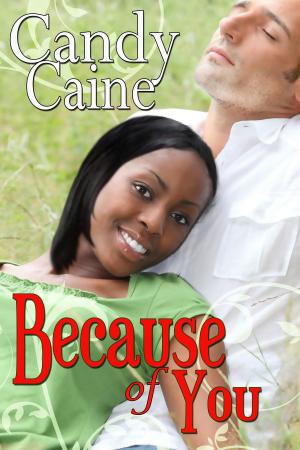 Cover of the book Because of You by Candy Caine