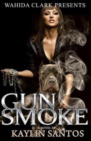 Cover of the book Gun Smoke by Sereniti Hall