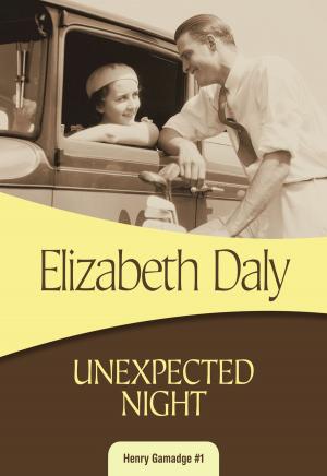 Cover of the book Unexpected Night by Elizabeth Daly