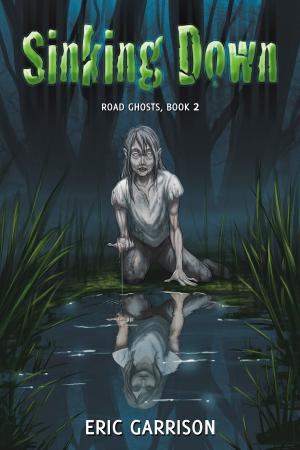 Cover of the book Sinking Down by Jacob Floyd, Jenny Floyd