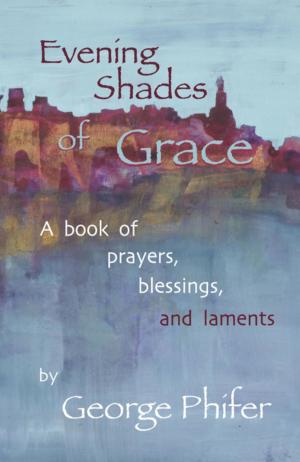 Cover of the book Evening Shades of Grace by Sherry Boykin