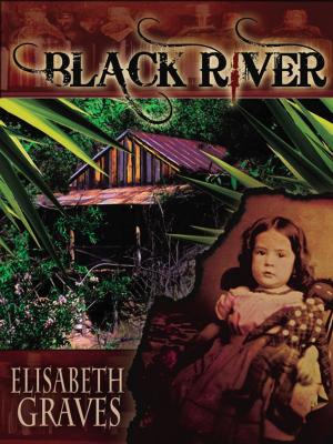 Cover of the book BLACK RIVER by David Poyer