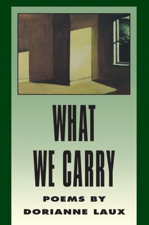 Cover of the book What We Carry by Karen Volkman