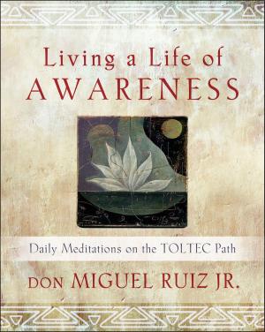 Book cover of Living a Life of Awareness