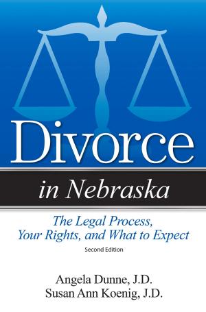 Cover of the book Divorce in Nebraska by Marshal S Willick