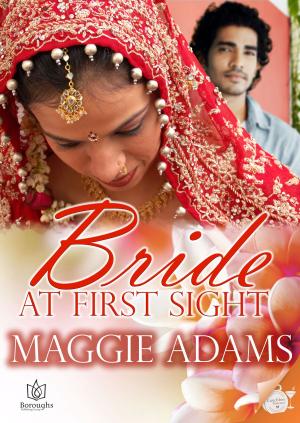 Cover of the book Bride at First Sight by Allie K Adams