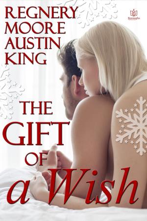 Book cover of The Gift of a Wish