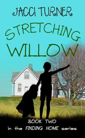Cover of the book Stretching Willow by Lauren Fogle Boyd