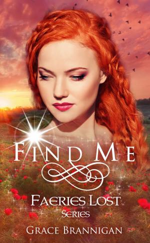 Cover of the book Find Me: Faeries Lost by Kayce Lassiter