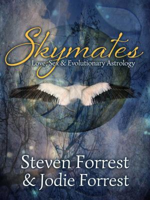 Cover of the book Skymates by Enrico Runge