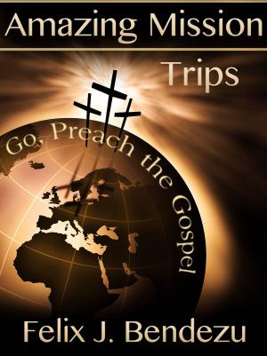 Cover of the book Amazing Mission Trips by Ethan M. Kleinhans