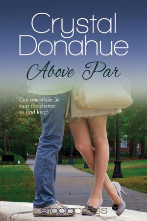 Cover of the book Above Par by Robin Danner