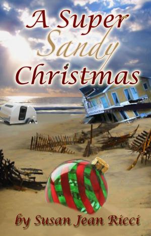 Cover of the book A Super Sandy Christmas by Juliette Hill