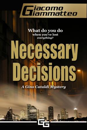 Book cover of Necessary Decisions