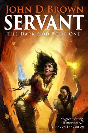 Cover of Servant: The Dark God Book 1