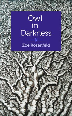 Book cover of Owl in Darkness