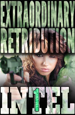 bigCover of the book Extraordinary Retribution by 