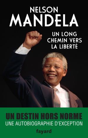 Cover of the book Un long chemin vers la liberté by Thierry Beinstingel
