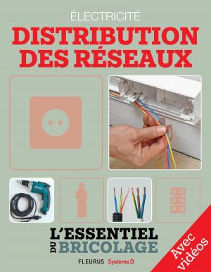 Book cover of Électricité : Distribution des réseaux - Avec vidéos